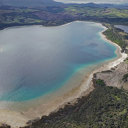 Lake Taharoa vegetation loss investigated