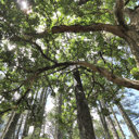 NRC signals 0% increase in rates take next year