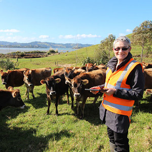 Whg Harb Catchment Monitoring Portland 20160803  S   400