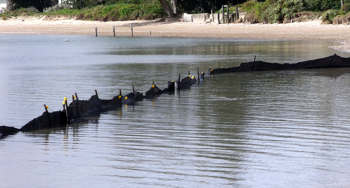 Silt fence partially under water with beach in background.