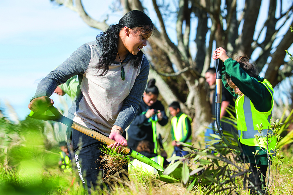 People planting.