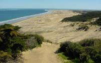 View of Northland coastline habitat.