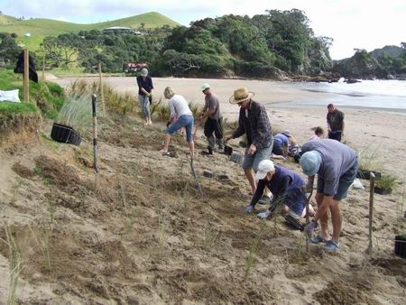 Sandy Bay CoastCare - planting day 2013. 
