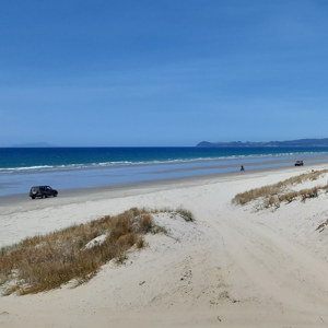 Vehicles On Beach Bream Bay 2020 2  S 