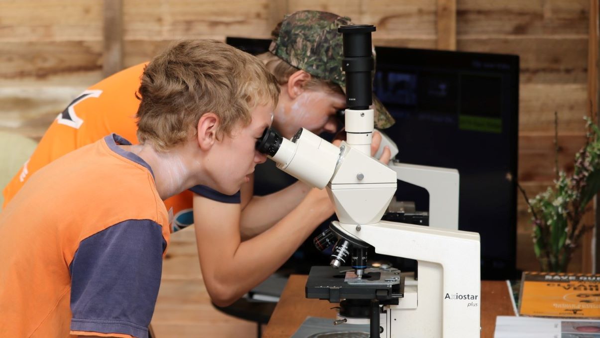 Students using microscopes.
