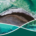 Tāiki ē: Te Tiriti strategy and implementation plan
