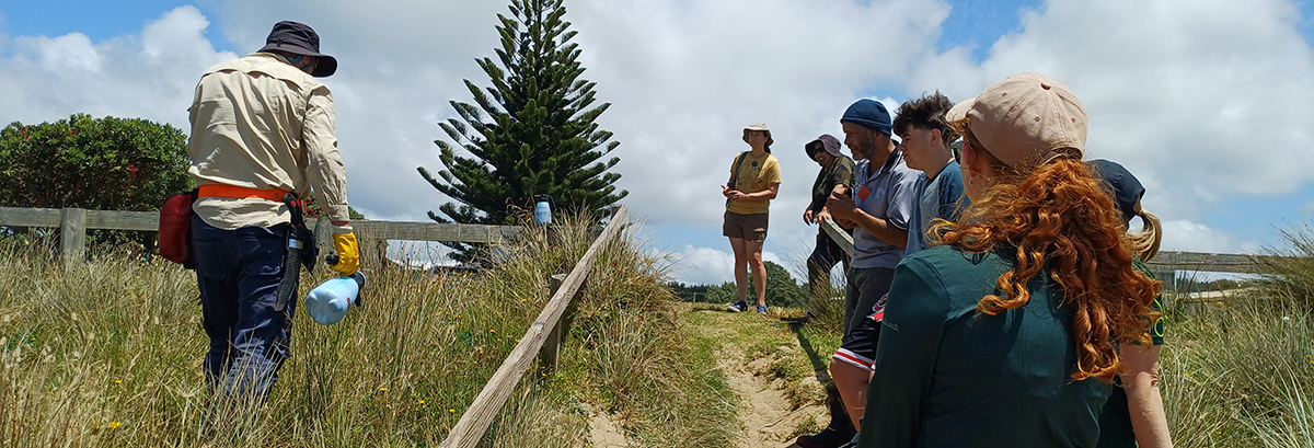 People on a beach walkway watching a man spraying weeds on a dune.