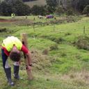 $524k boost for Whangārei urban waterways