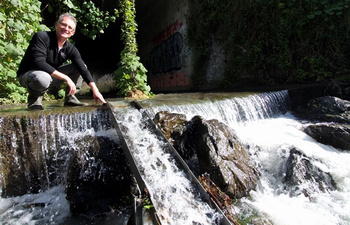 Fish ladder under the Western Hills Drive bypass.