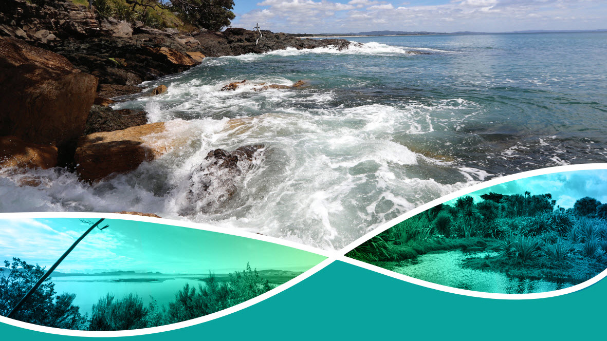 Graphic with coastal images.