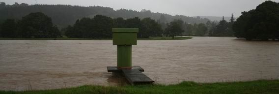 High water levels in Whakapara River.