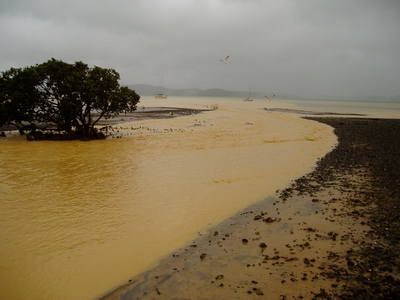 Description: Sediment in a coastal stream after small-scale earthworks were undertaken without adequate sediment control. 