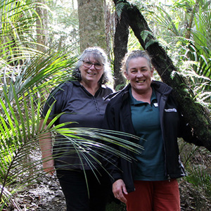 In the ngahere at Tangiteroria School