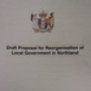 Fresh local government reform draft needed; NRC