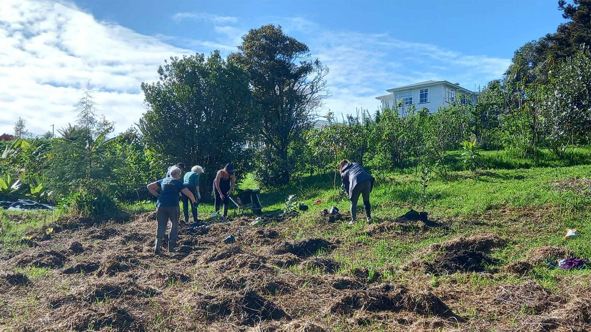 People digging to create a new garden on a hillside.
