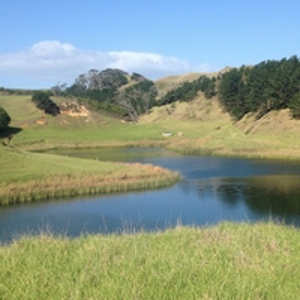 Pouto catchment (200).jpg