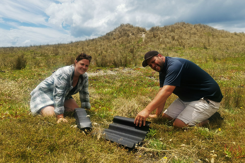 Two people on sand dune with tracking tunnel.