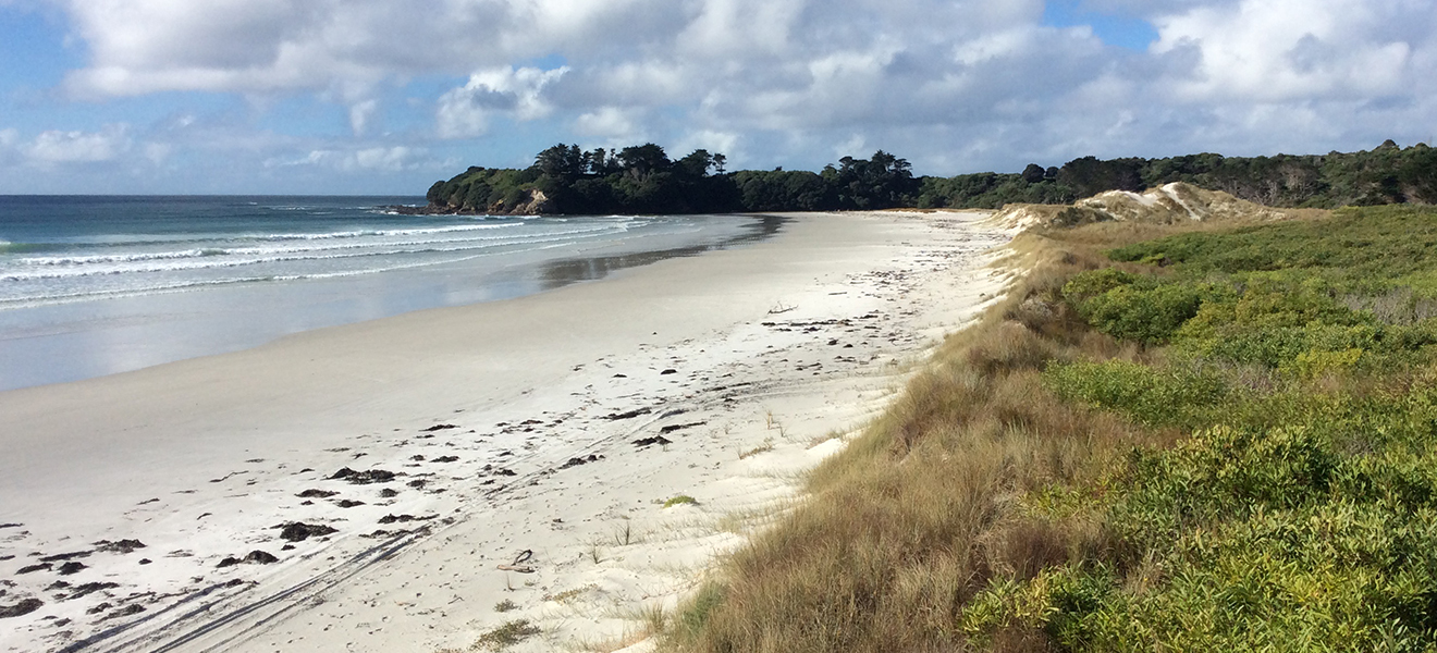 Rarawa Beach.