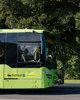 Free bus travel for Car Free Day