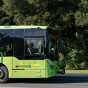 Free bus travel for Car Free Day