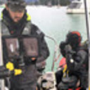 Opua fanworm find sparks experts’ vigilance call