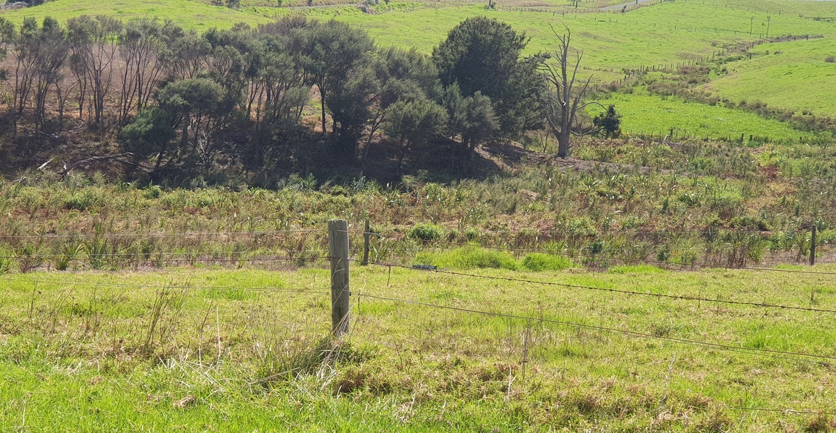 Fenced wetland.