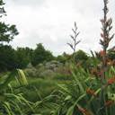 Check before earthworks, vegetation clearance; NRC