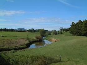 Photo of Waiotu River.