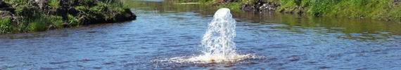 Groundwater.