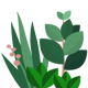 Plants graphic.