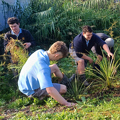 Environmental Leaders Fund