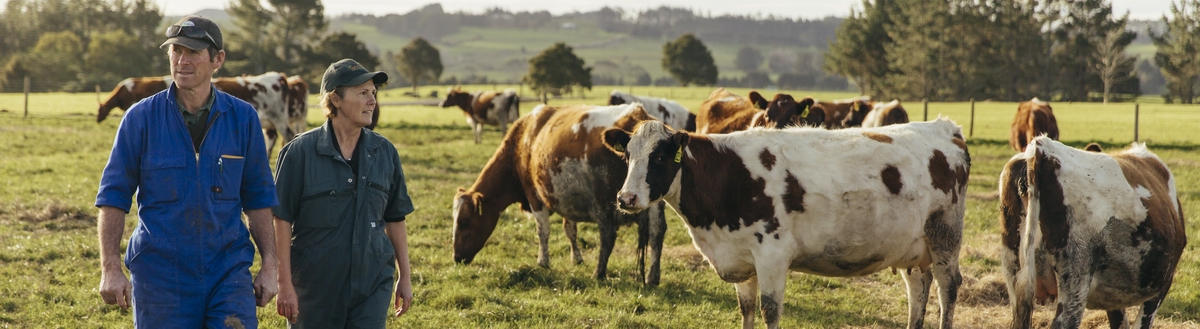 Farmers with their stock.
