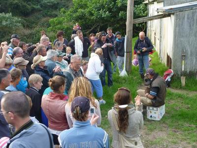 Visitors attend release of two kiwi chicks.