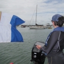 Hull marine pest surveys to start again soon