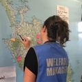 Welfare and community info