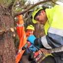 $1M north funding ‘win-win’ for workers, environment; NRC