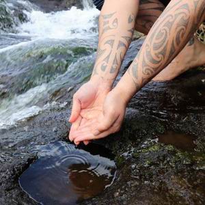 Hands scooping water