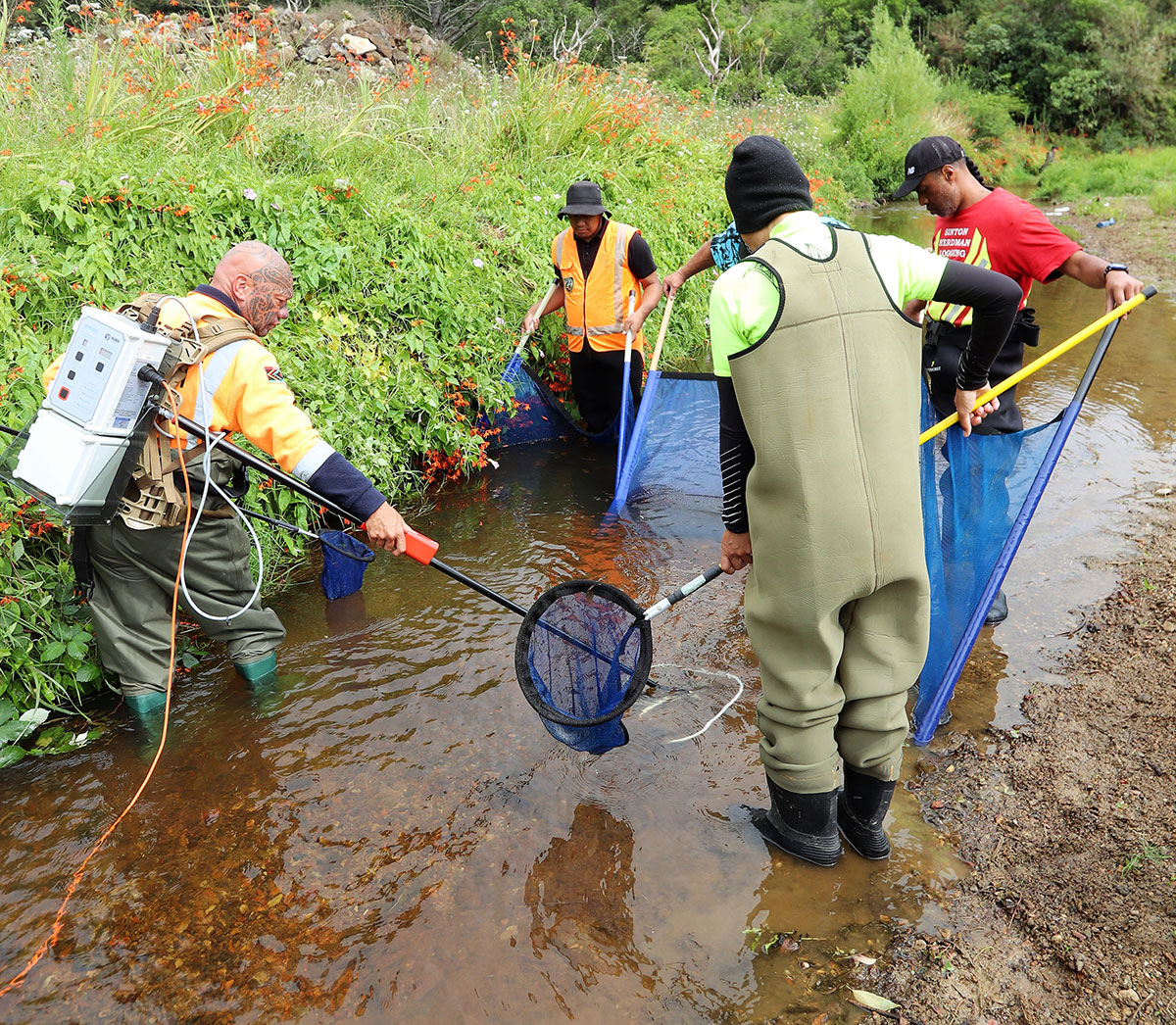 People with nets and equipment in a stream.