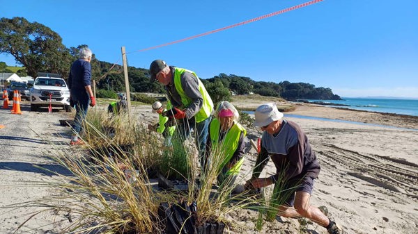 Langs Coastcare Group volunteers planting the new section of dune