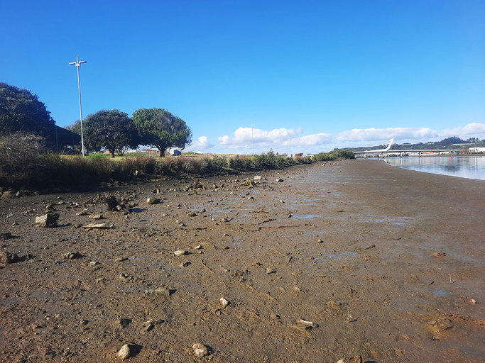 Hātea River litter monitoring site