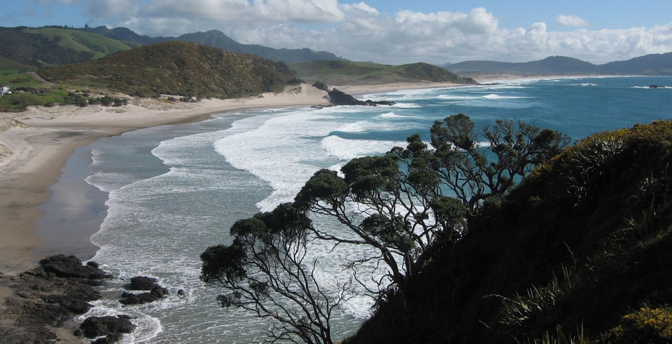 Ocean Beach.