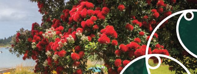 Agendas and minutes banner pohutukawa tree.