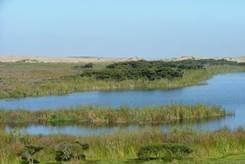 Photo of Lake Karaka on the Pouto Peninsula, which is one of many relatively pristine dune lake wetland systems found in Northland.