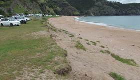 Tauranga bay.