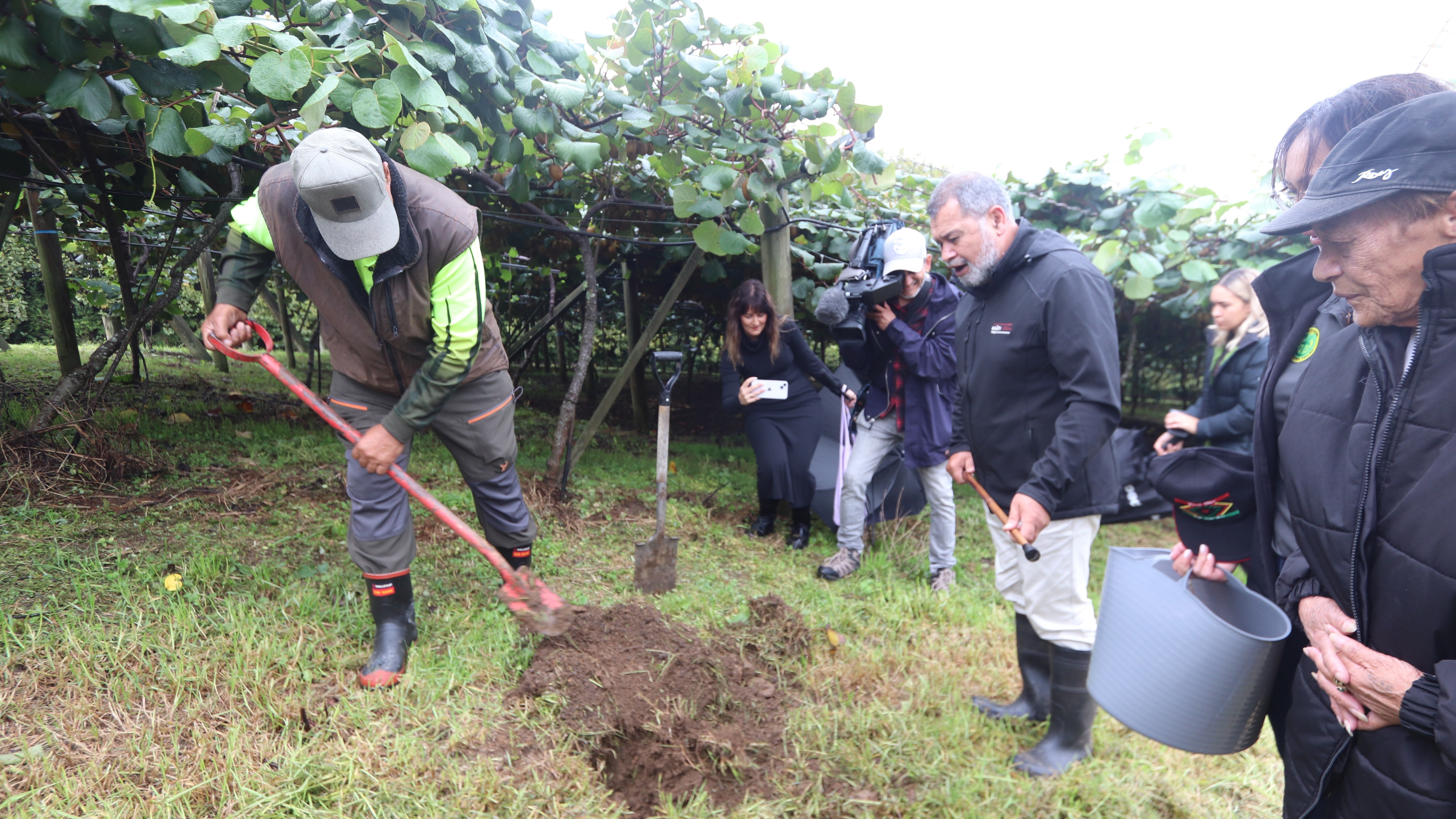In a vineyard, a person uses a shovel to dig into the soil beneath leafy grapevines while several others stand nearby observing. One person holds a bucket, and another operates a video camera, documenting the activity. The scene takes place outdoors on grass and soil, with vine rows and overcast light visible in the background.