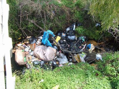 Rubbish dumped in a small stream.