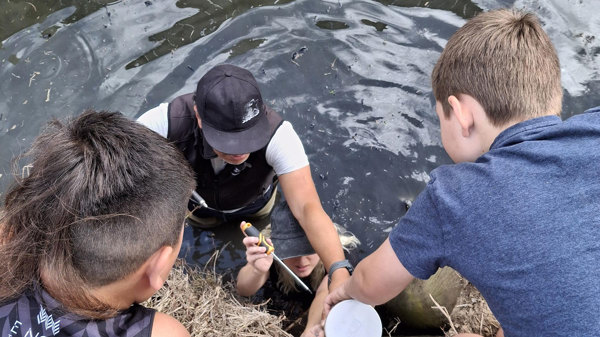 Morningside Awa Restoration