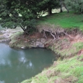Soil erosion