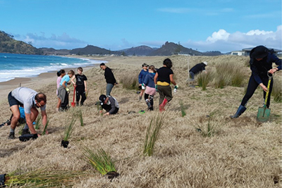 People planting sand dunes.