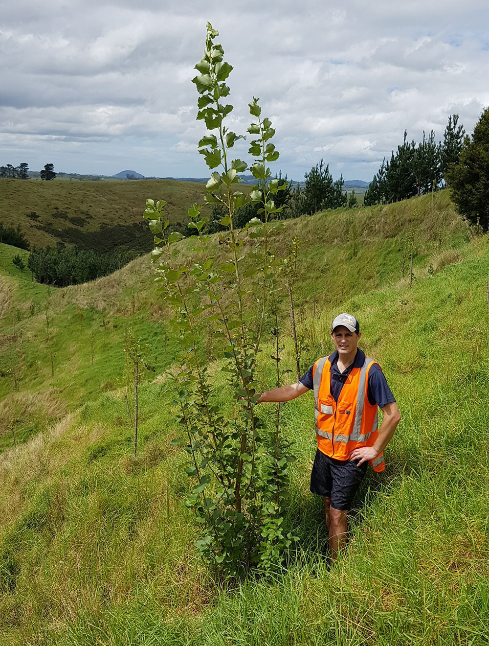 Man with a tree on a hillside.